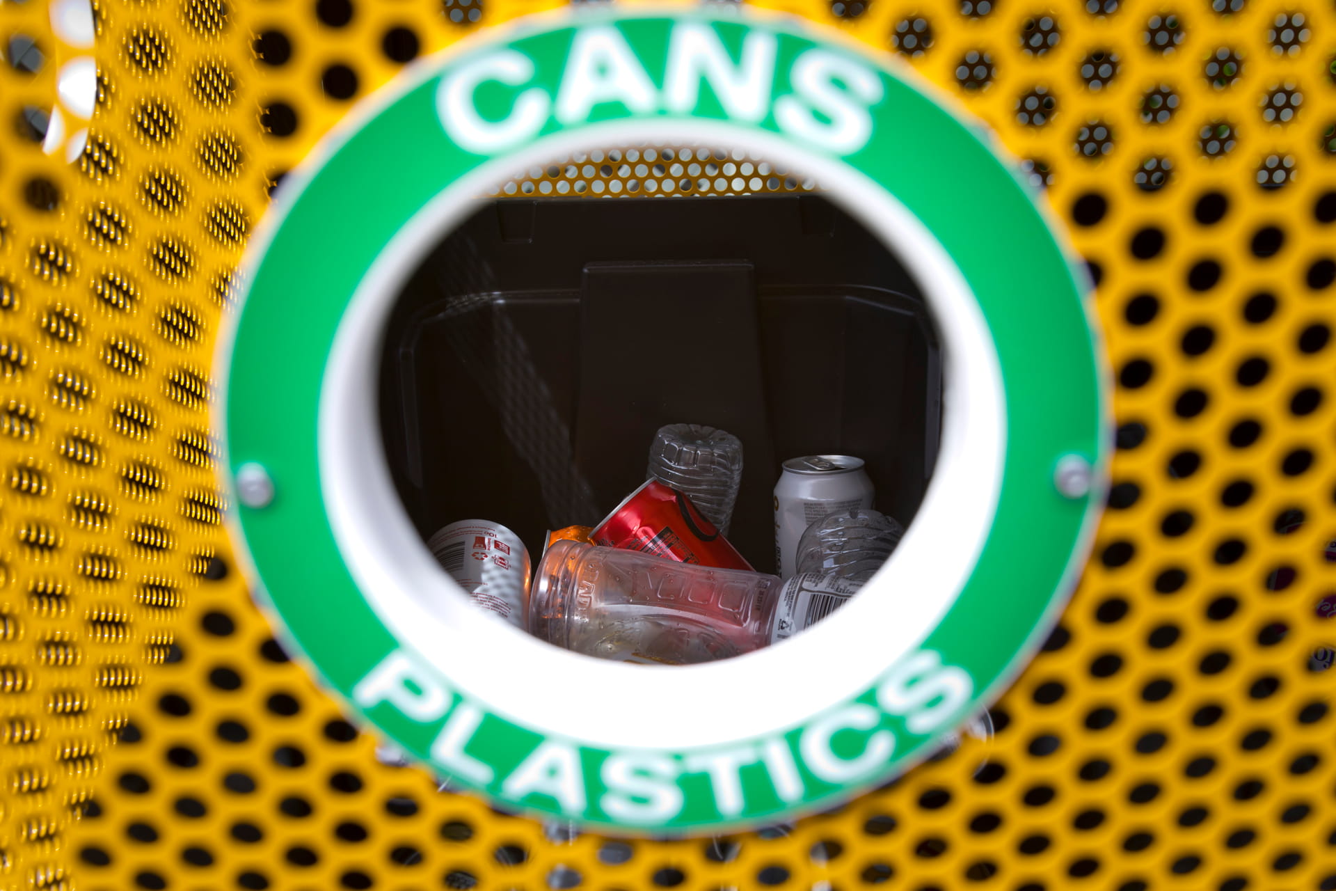 NEGphotography_Kiama Lions0O5A4744 (1)